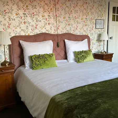 Bed & Breakfast Tree & B