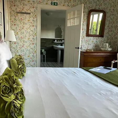 Tree & B Bed & Breakfast Bruges